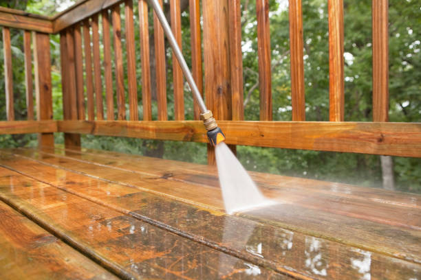 Best Gutter Cleaning  in Madison, NJ